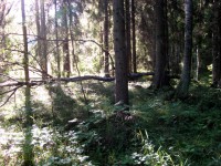 /album/peukalopaikka/img-9825-640x480-jpg/